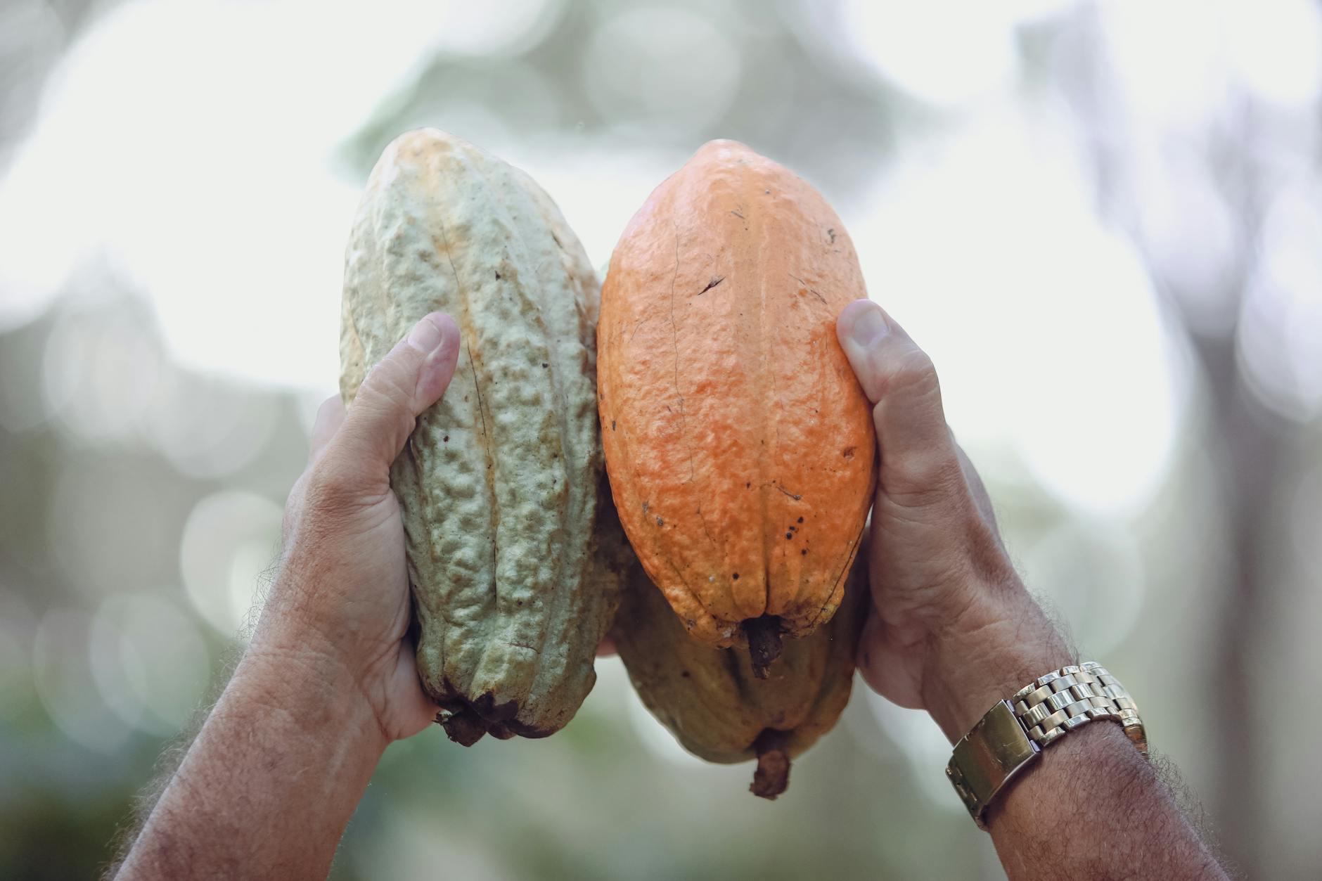 Método Práctico de Optimización: Estrategias para Abogados