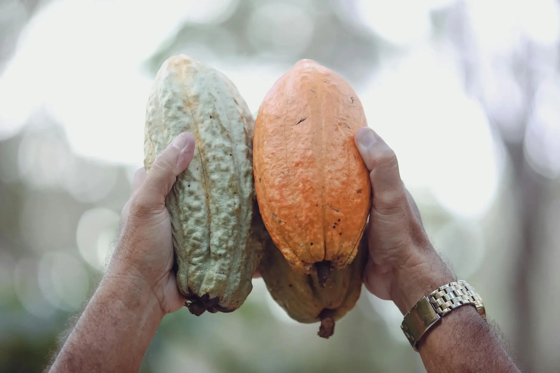 Método Práctico de Optimización: Estrategias para Abogados