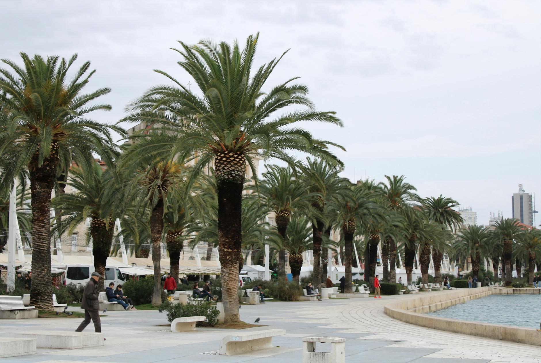 Der Ultimative Leitfaden zum Split von PDFs für Public-Safety-Documents-Teams