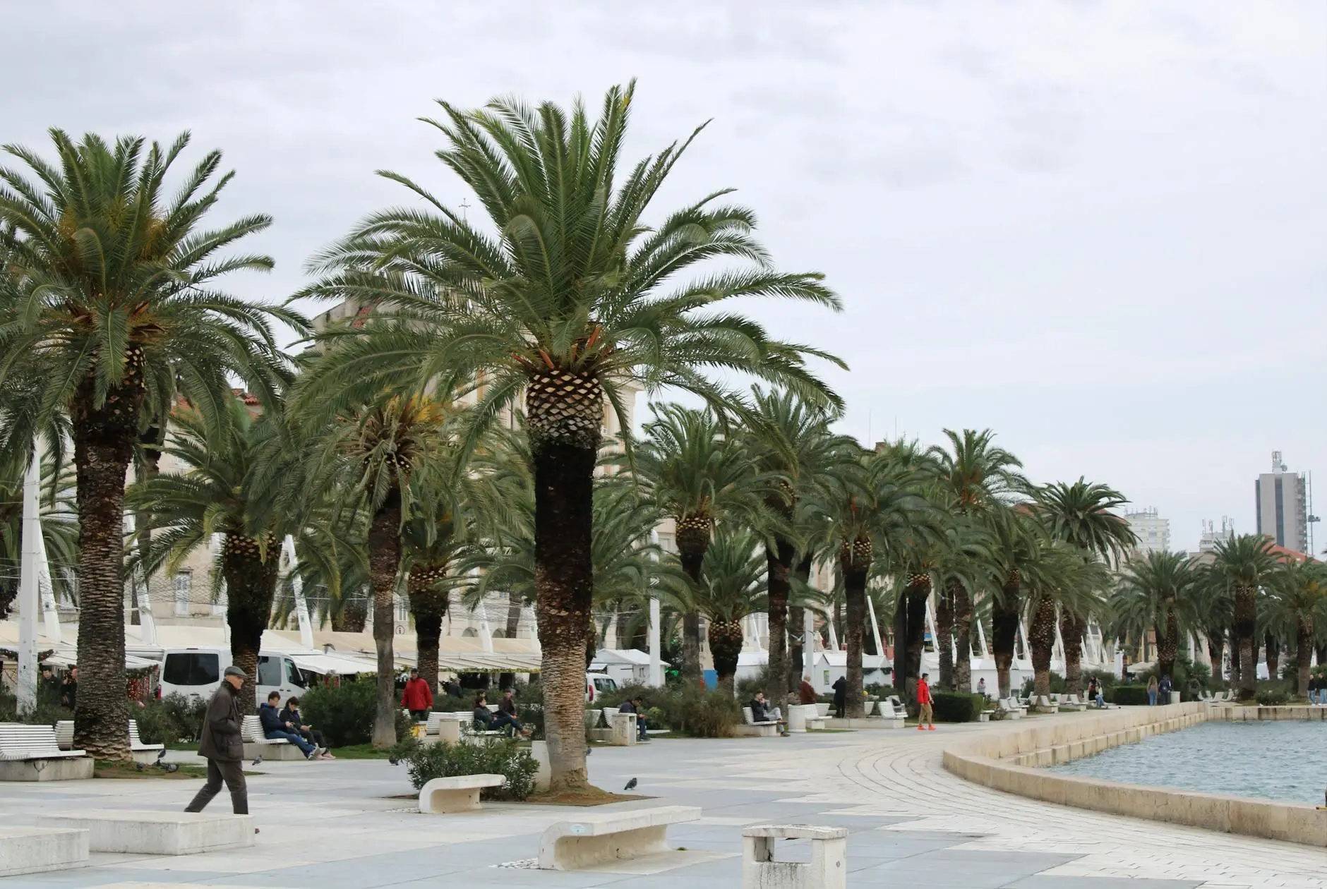 Der Ultimative Leitfaden zum Split von PDFs für Public-Safety-Documents-Teams